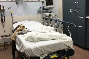 Weiss Memorial Hospital Emergency Room image