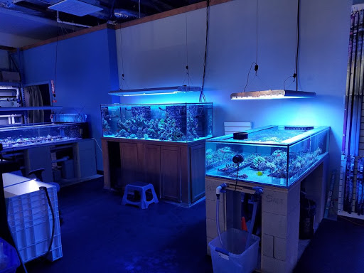 Tropical Fish Store «Shipwreck Cove Custom Aquariums», reviews and photos, 215 S El Camino Real, Encinitas, CA 92024, USA