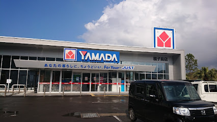 ヤマダデンキ テックランド種子島店