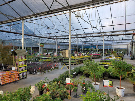 Pike Nurseries