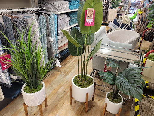 Department Store «HomeGoods», reviews and photos, 10269 E US Hwy 36, Avon, IN 46123, USA