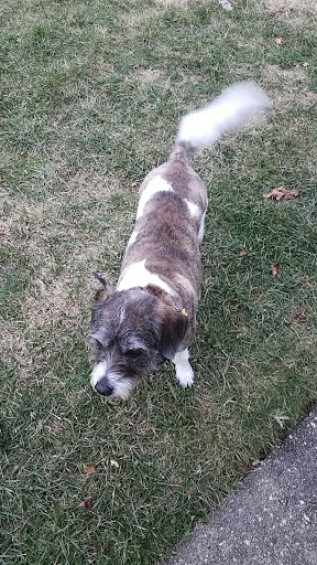 Pet Supply Store «Petco Animal Supplies», reviews and photos, 1141 Wantagh Ave, Wantagh, NY 11793, USA