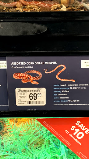 Pet Supply Store «PetSmart», reviews and photos, 1600 Marcus Ave, New Hyde Park, NY 11040, USA