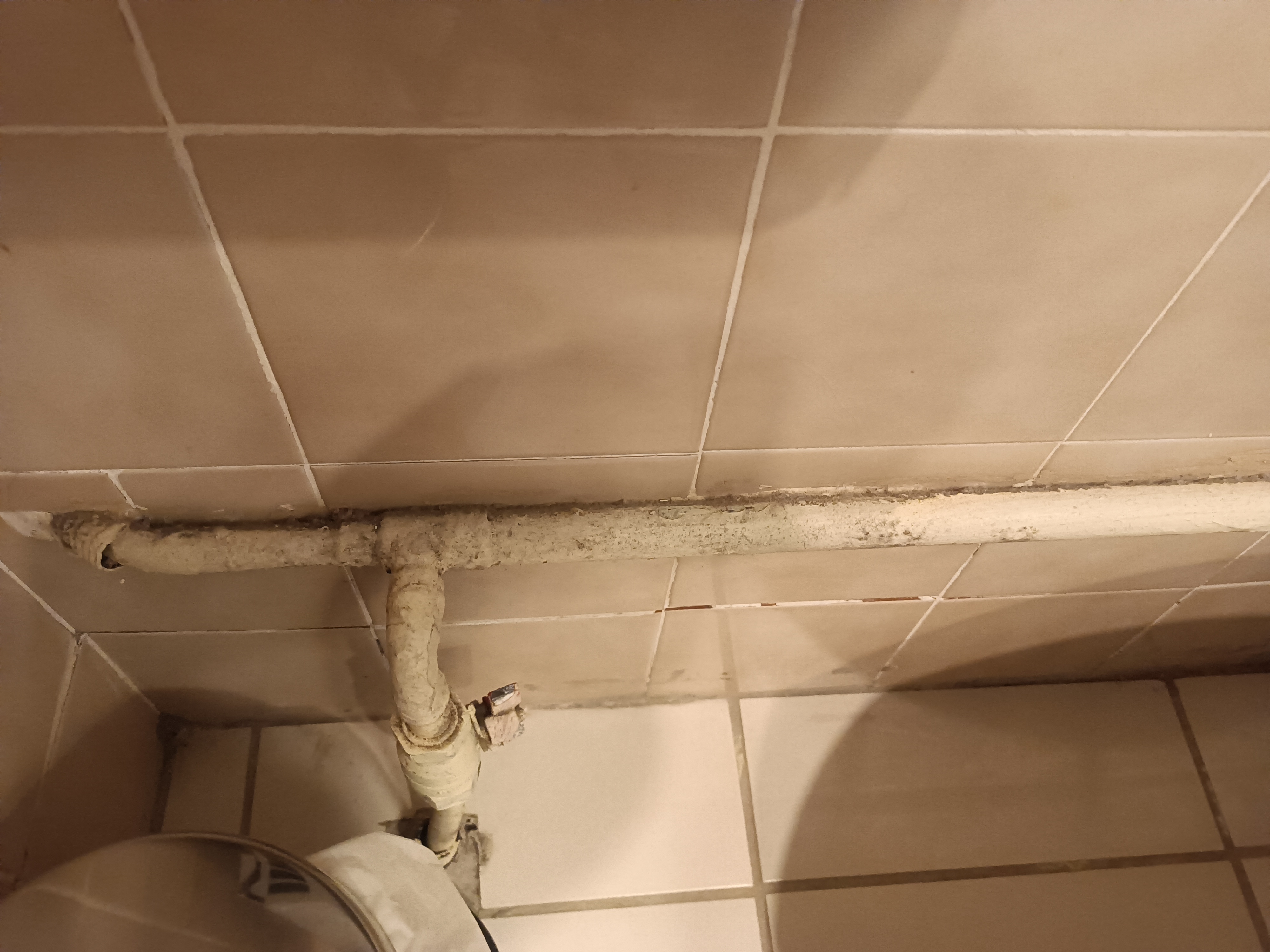 Photo n° 9 de l'avis de Olivier.a fait le 28/10/2023 à 20:28
