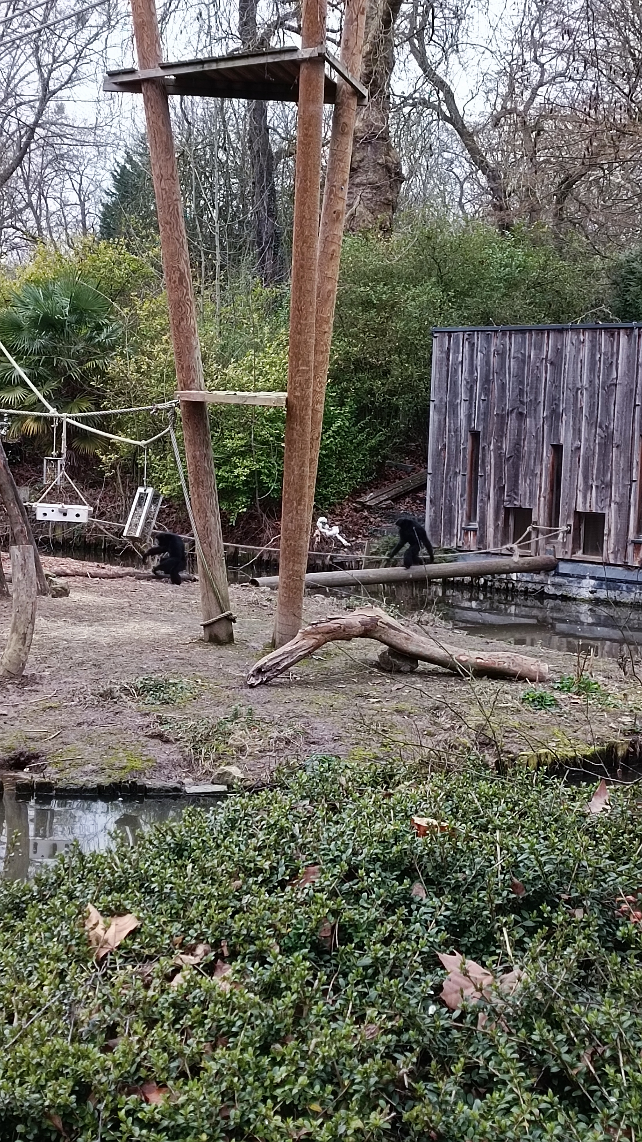 Photo n° 10 de l'avis de Mike.O fait le 25/02/2023 à 09:51