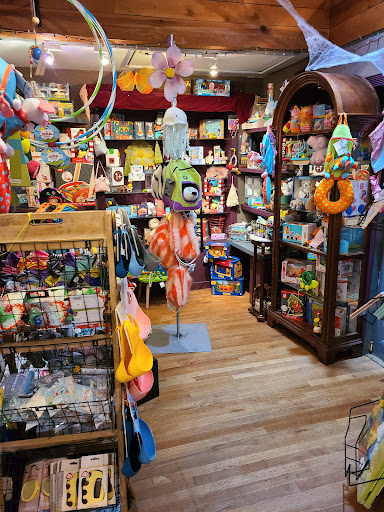 Toy Store «Why Not Toys», reviews and photos, 319 Gentry St, Spring, TX 77373, USA