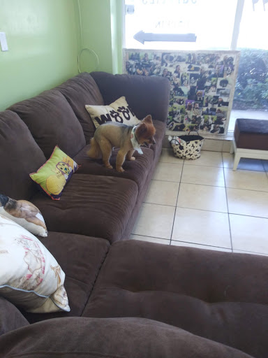 Pet Groomer «Mario`s Pet Grooming & Boutique», reviews and photos, 708 SE 17th St, Fort Lauderdale, FL 33316, USA