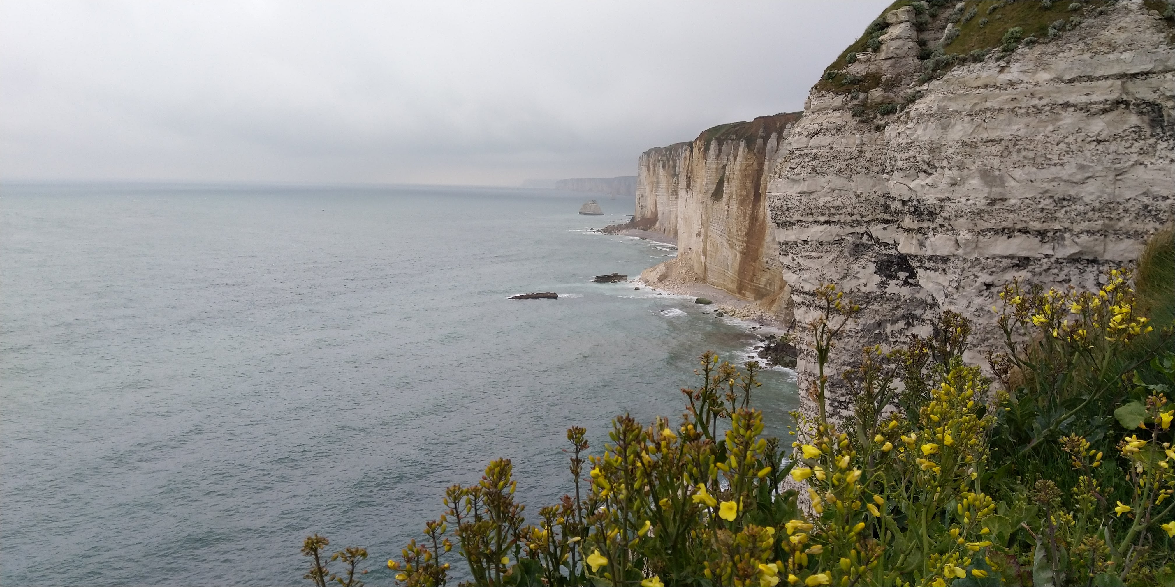 Photo n° 3 de l'avis de Jérôme. fait le 17/05/2021 à 18:40