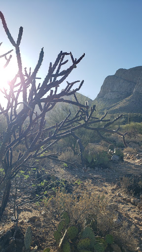 Tourist Attraction «Linda Vista Trail», reviews and photos, 730 E Linda Vista Rd, Oro Valley, AZ 85737, USA