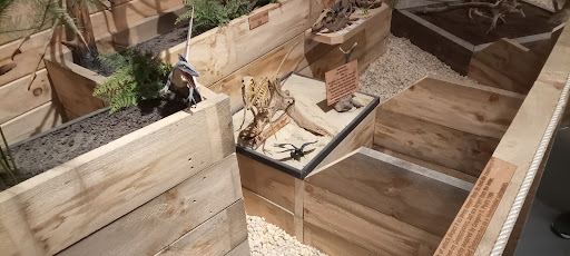 Outlet Store «Tanger Outlet Blowing Rock», reviews and photos, 278 Shoppes on the Parkway Rd, Blowing Rock, NC 28605, USA