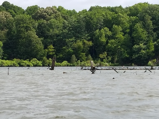 Tourist Attraction «Mallows Bay», reviews and photos, 1440 Wilson Landing Rd, Nanjemoy, MD 20662, USA