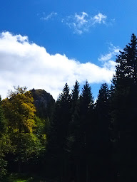 Photo n°28 de Le Salon du Capucin à Mont-Dore ()