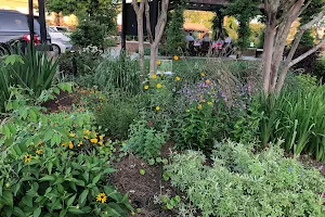 Southside Place Community Garden image