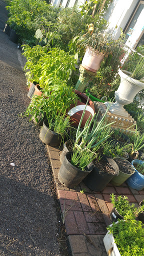 Grocery Store «World Wide Food Market», reviews and photos, 5623 Williamson Rd, Roanoke, VA 24012, USA