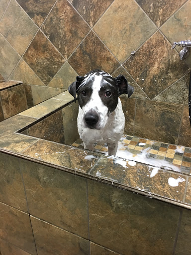 Pet Supply Store «Pet Valu», reviews and photos, 1354 Centennial Ave, Piscataway Township, NJ 08854, USA