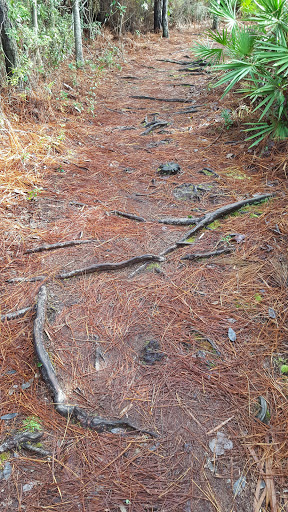 Memorial Park «Fort Caroline National Memorial», reviews and photos, 12713 Ft Caroline Rd, Jacksonville, FL 32225, USA