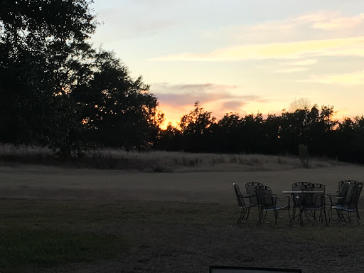 Wine Bar «Pedernales Cellars», reviews and photos, 2916 Upper Albert Rd, Stonewall, TX 78671, USA