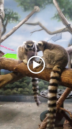 Zoo «Monkey Island», reviews and photos, 8 E 23rd Ave, Denver, CO 80205, USA