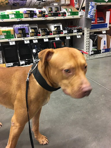 Home Improvement Store «The Home Depot», reviews and photos, 125 Reuben Bell Dr, Matamoras, PA 18336, USA