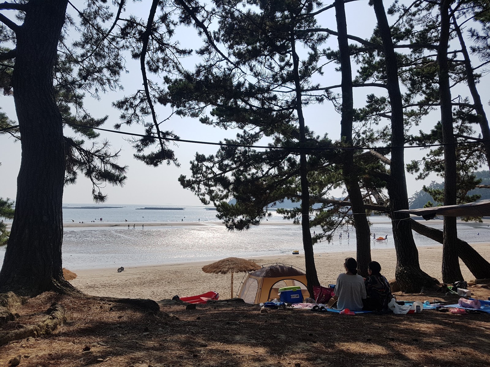 Photo de Songho Beach et le règlement