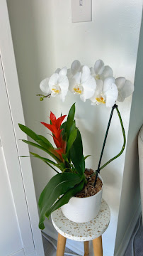 Elegant Healing - Photo 5 - Car repair in Bonita Springs, FL, Bonita Springs