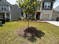 Speedy Landscaping - Photo 9 - Car repair in , High Point