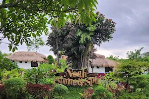 Noah Stone and Spa Resort image