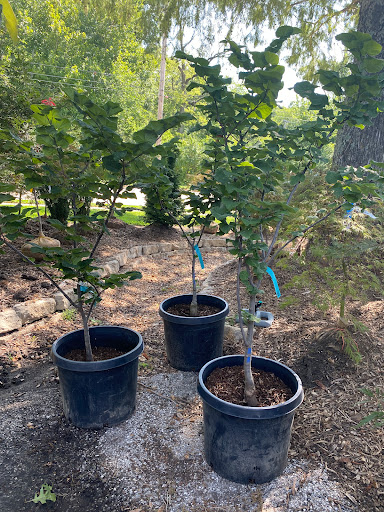 Landscaping Supply Store «Kirkwood Gardens», reviews and photos, 2701 Barrett Station Rd, Ballwin, MO 63021, USA