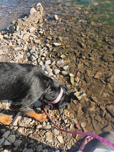 Education «River Bend Nature Center», reviews and photos, 1000 Rustad Road, Faribault, MN 55021, USA