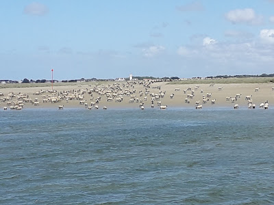 Vue sur la Somme à Saint-Valery-sur-Somme