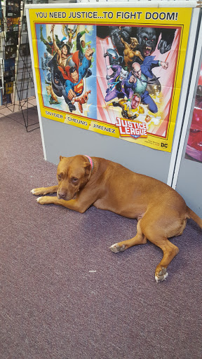 Comic Book Store «The Comic Strip», reviews and photos, 503 Hargrove Rd E, Tuscaloosa, AL 35401, USA
