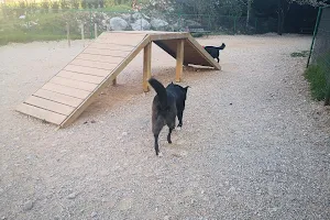 Dog Park image