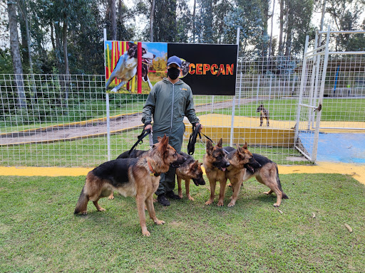 Guarderia canina Cepcan high performance dogs training