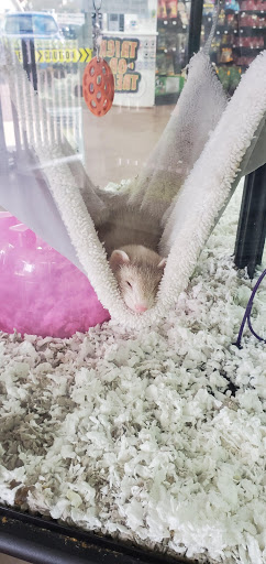 Pet Store «Pets Plus - Quakertown», reviews and photos, 117 S West End Blvd, Quakertown, PA 18951, USA