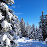 Photo n°12 de l'avis de Renè.o fait le 08/01/2022 à 11:20 sur le  Möltner Kaser à Mölten