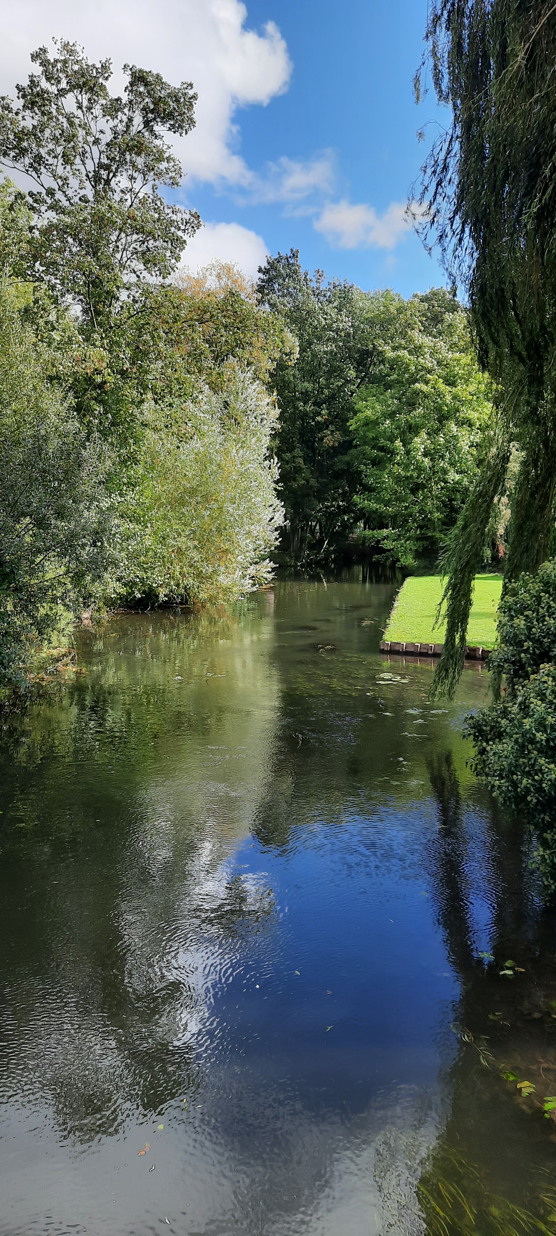 Photo n° 2 de l'avis de Yves.a fait le 05/10/2021 à 15:52
