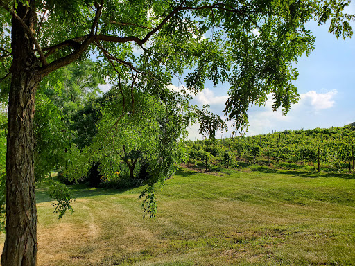 Vineyard «North Mountain Vineyard and Winery», reviews and photos, 4374 Swartz Rd, Maurertown, VA 22644, USA