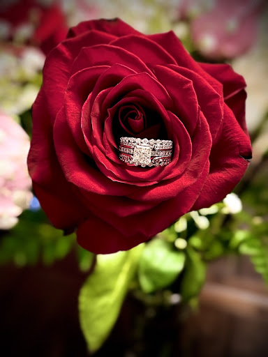 Jewelry Store «Jared The Galleria of Jewelry», reviews and photos, 451 W 14 Mile Rd, Madison Heights, MI 48071, USA