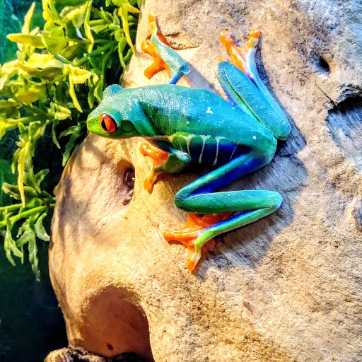 Pet Supply Store «CountryMax - Geneseo», reviews and photos, 4101 Lakeville Rd, Geneseo, NY 14454, USA