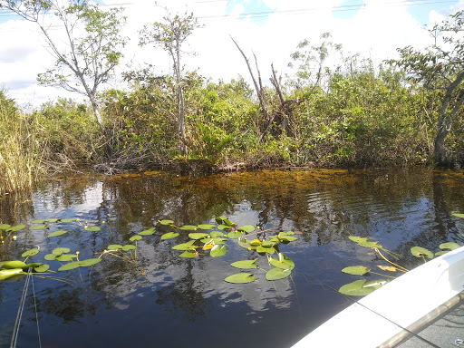 Tourist Attraction «Blackwater Airboat Tours», reviews and photos, US-27, Pompano Beach, FL 33321, USA