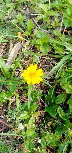 Park «Lake Stevens Park», reviews and photos, 5301 NW 183rd St, Miami Gardens, FL 33055, USA