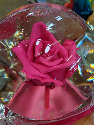 Grocery Store «Super Foodtown of Croton-on-Hudson», reviews and photos, 2005 Albany Post Rd, Croton-On-Hudson, NY 10520, USA