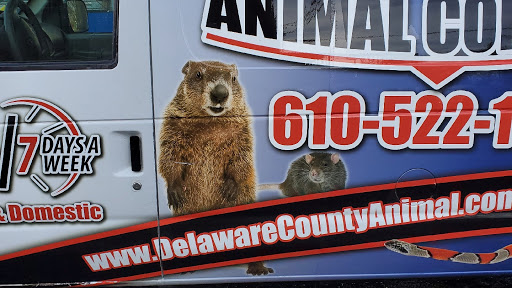 Delaware County Animal Control - 24/7 Wildlife Control Services