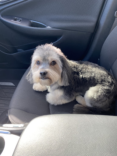 Pet Supply Store «PetSmart», reviews and photos, 11501 Metcalf Ave, Overland Park, KS 66210, USA