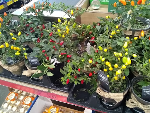 Supermarket «ALDI», reviews and photos, 481 Park Ave, Lindenhurst, NY 11757, USA