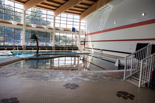 Allegan Aquatic Center and High School image 1