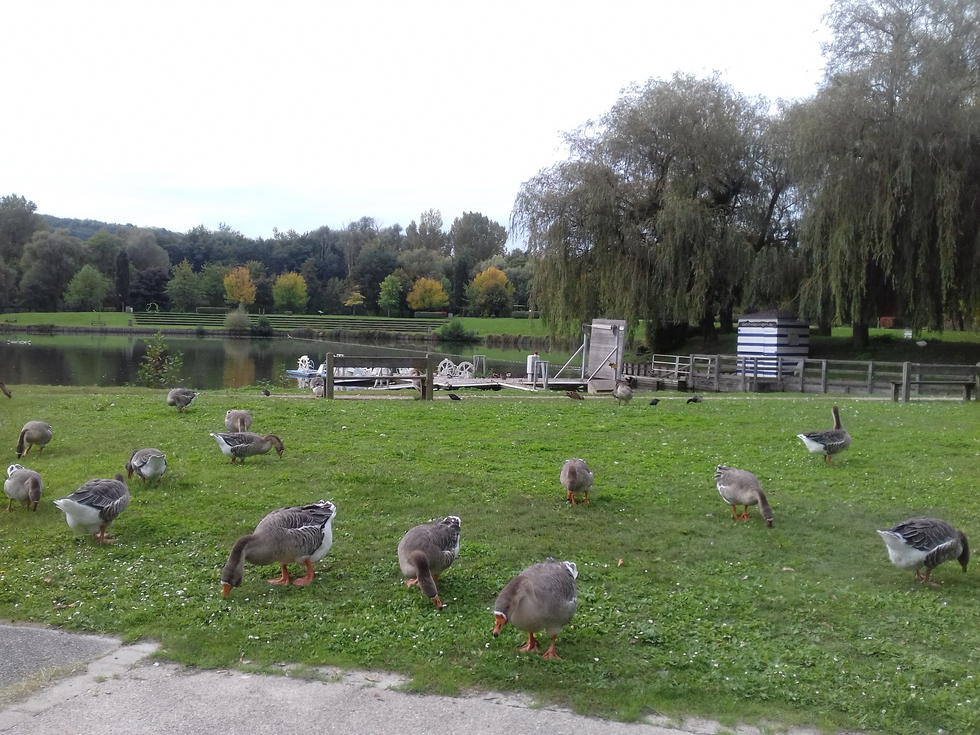 Photo n° 4 de l'avis de Christine.e fait le 25/09/2017 à 10:42
