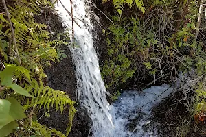 Las Nieves Natural Park image