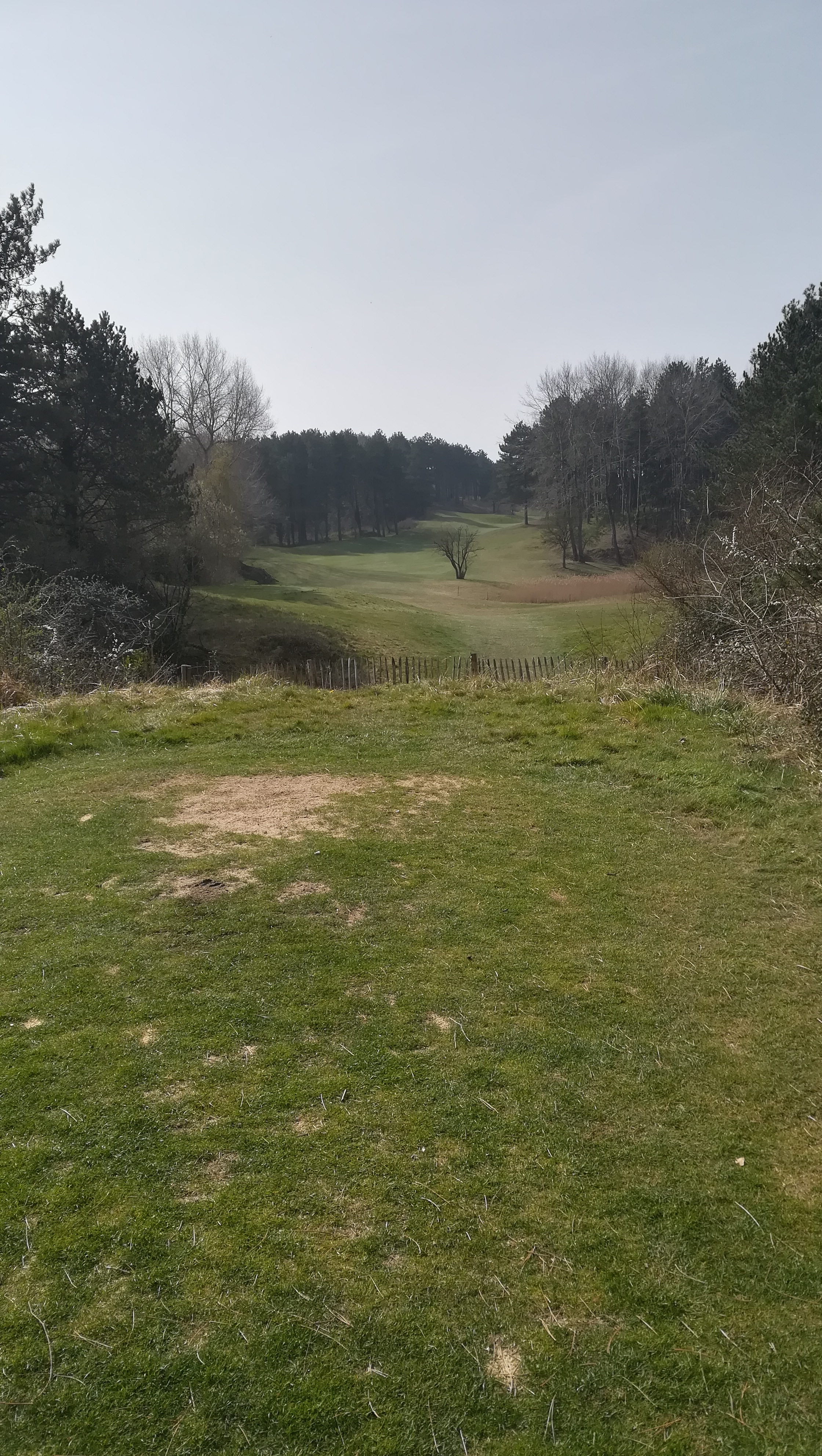 Photo n° 10 de l'avis de Bernard.e fait le 29/03/2022 à 18:40