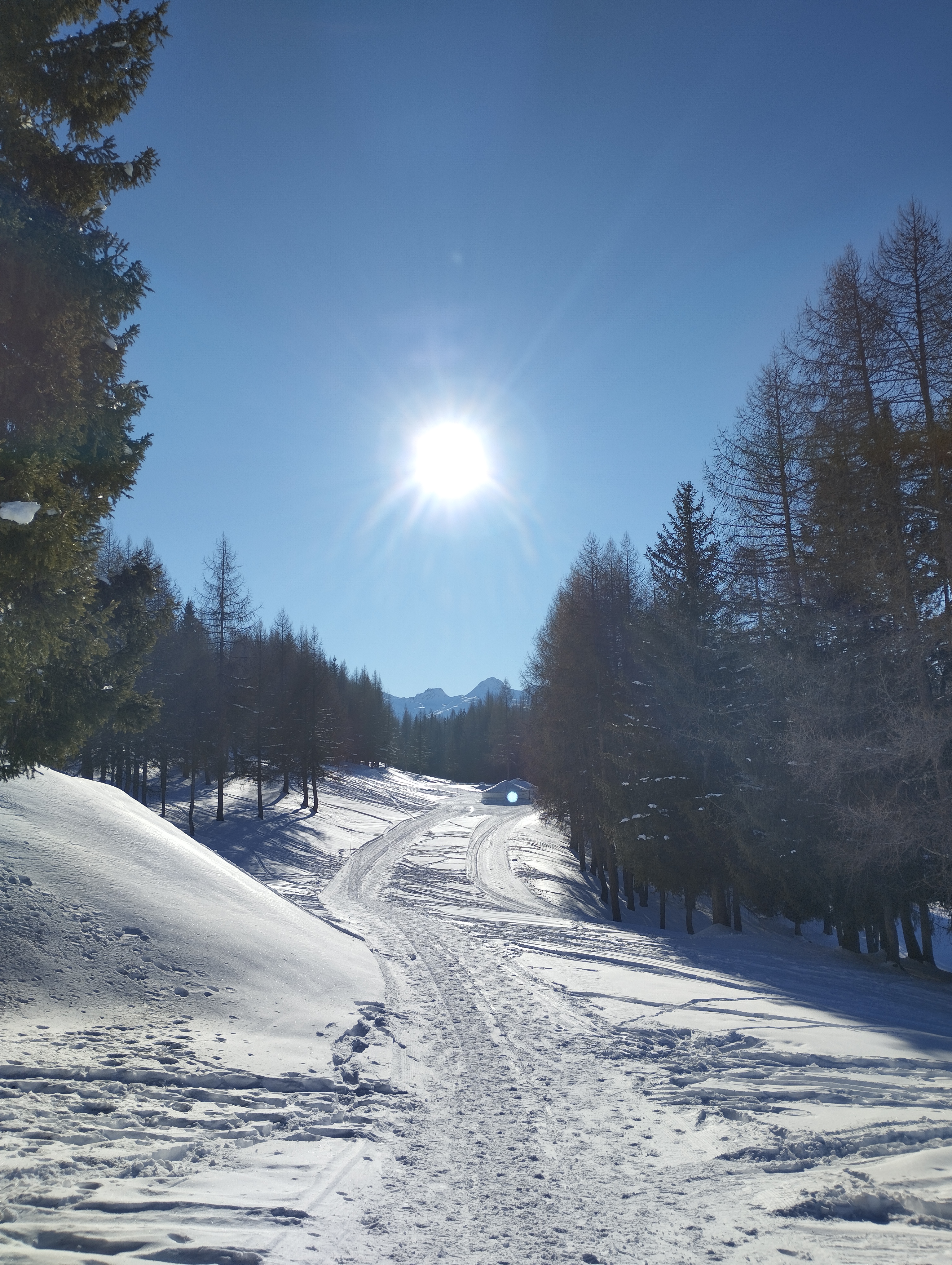 Photo n° 2 de l'avis de christine.e fait le 26/01/2023 à 16:50
